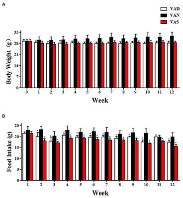 Dietary vitamin A modifies the gut microbiota and intestinal tissue transcriptome, impacting intestinal permeability and the release of inflammatory factors, thereby influencing Aβ pathology